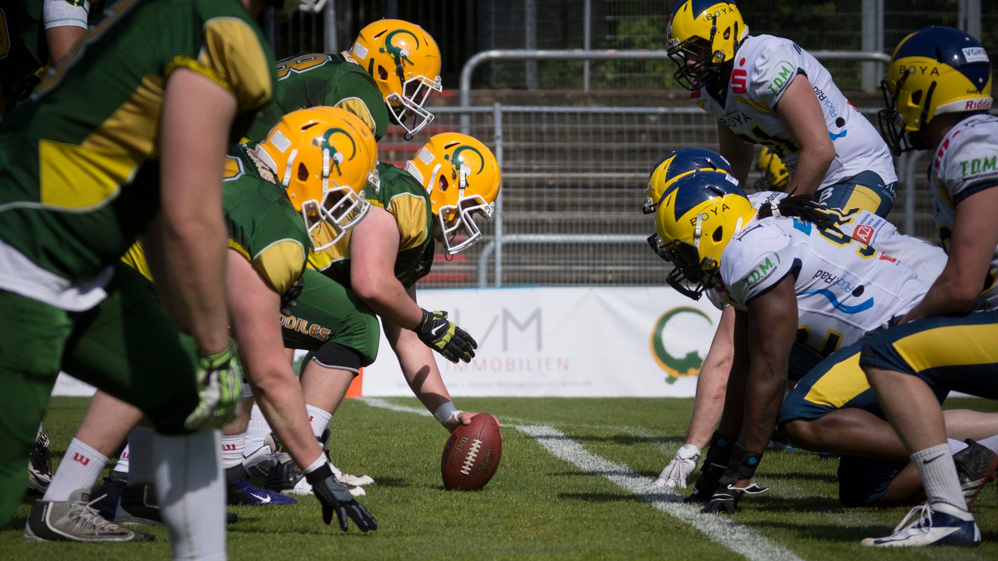 Gelunger Crocodiles Start
