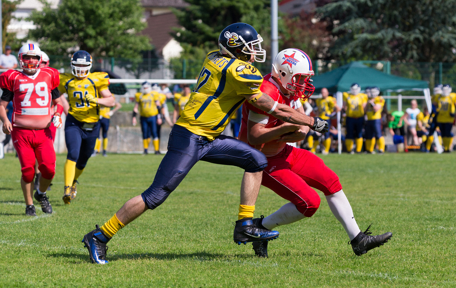 Hornets besiegen Pioneers