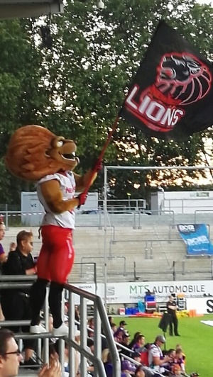 Eurobowl: Braunschweig erneut Champion