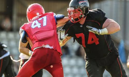 Panther legen vor