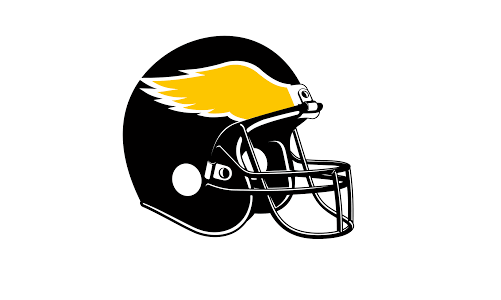 Berlin Adler holt neuen US-Quarterback