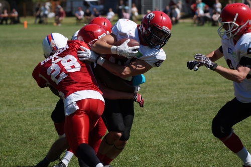 Crusaders besiegen Falken