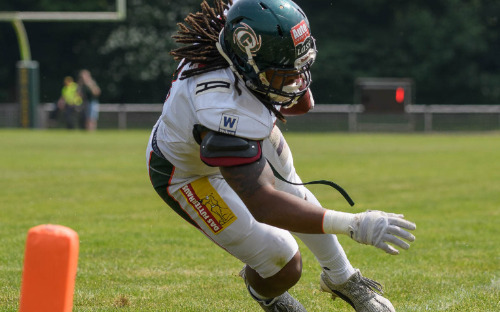 Lions und Canes festigen Spitzenplätze