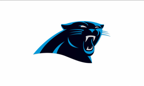 Panthers besetzen GM-Posten neu