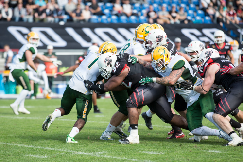 Crocodiles unterliegen Lions