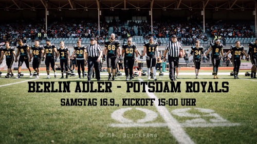 Relegation und Absteiger 2017