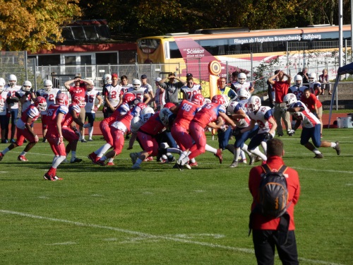 Junglöwen in GFLJ