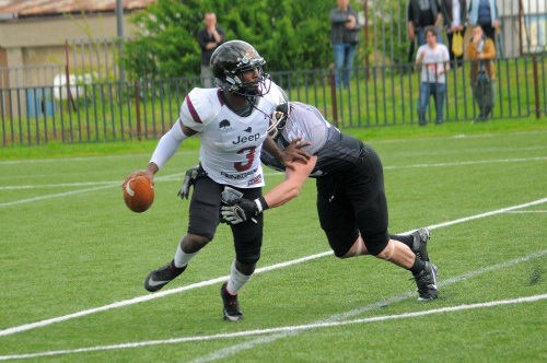 Quentin Williams ist neuer Huskies-QB