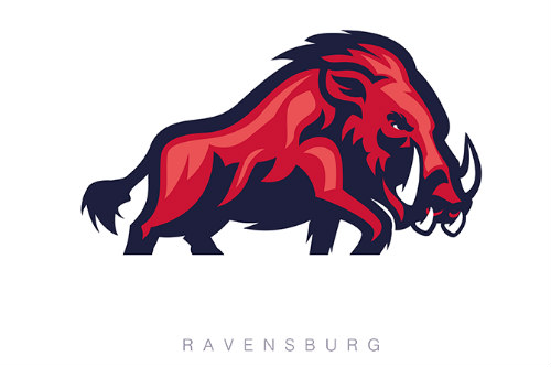 Razorbacks: Wieder oben mit dabei