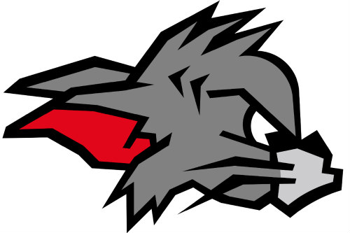 Der Außenseiter in der Südstaffel: Kirchdorf Wildcats