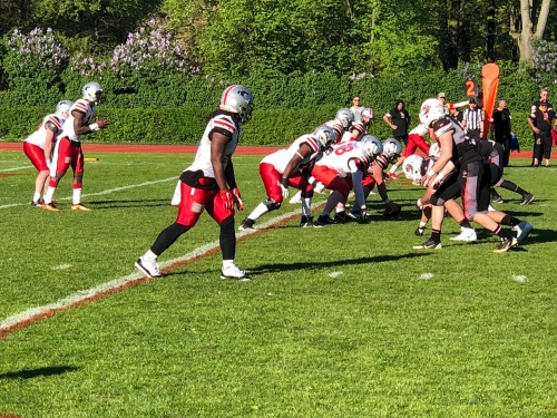 Effektive Lions schlagen Huskies