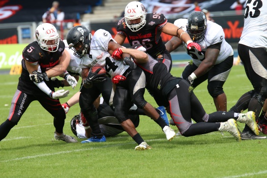 New Yorker Lions mit rabenschwarzem Tag gegen die Berlin Rebels