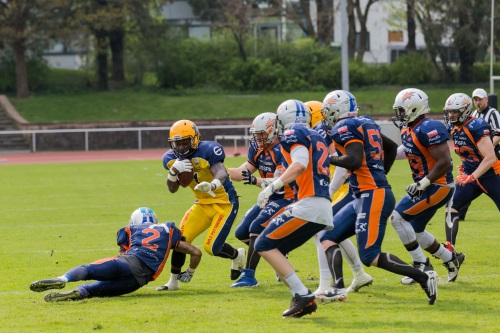 Endspurt für die Elmshorn Fighting Pirates