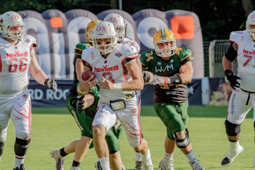 New Yorker Lions zeigen Cologne Crocodiles die Grenzen auf