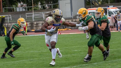 Dresden Monarchs gewinnen letztes Heimspiel