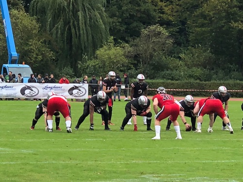 Die Huskies Hoffnung stirbt zuletzt