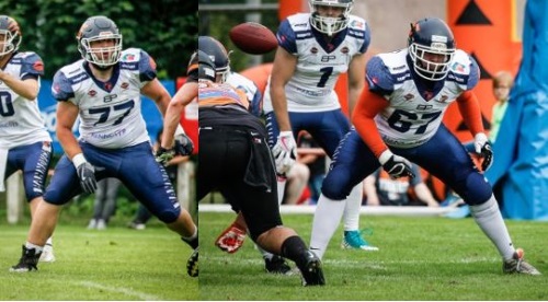 2 neue starke Lions aus Hannover