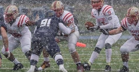Christian Strong wird neuer Quarterback der Düsseldorf Panther für die GFL-Saison 2019