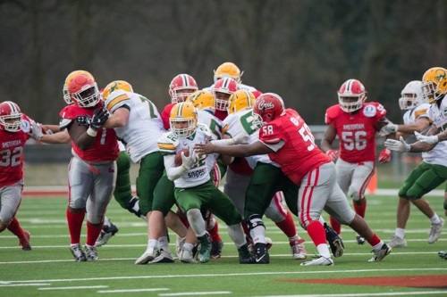Cologne Crocodiles testen gegen Amsterdam Crusaders