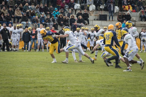 Fighting Pirates halten gegen Erstligisten Hildesheim ordentlich mit