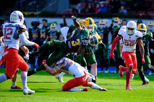 Cologne Crocodiles verlieren gegen New Yorker Lions Braunschweig