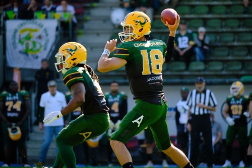 Connor Miller, Cologne Crocodiles neuer Quarterback