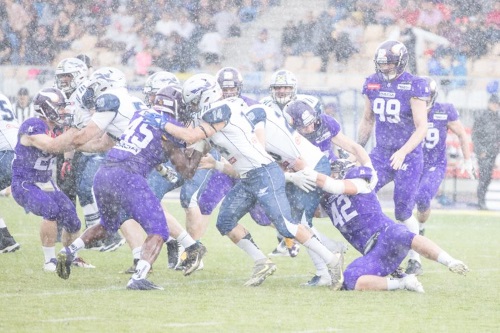 Dacia Vikings gegen Traun Steelsharks