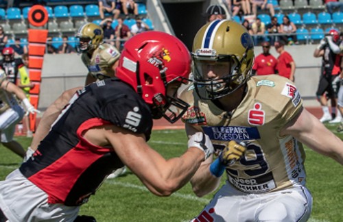 Königliches Duell der Dresden Monarchs gegen Potsdam Royals