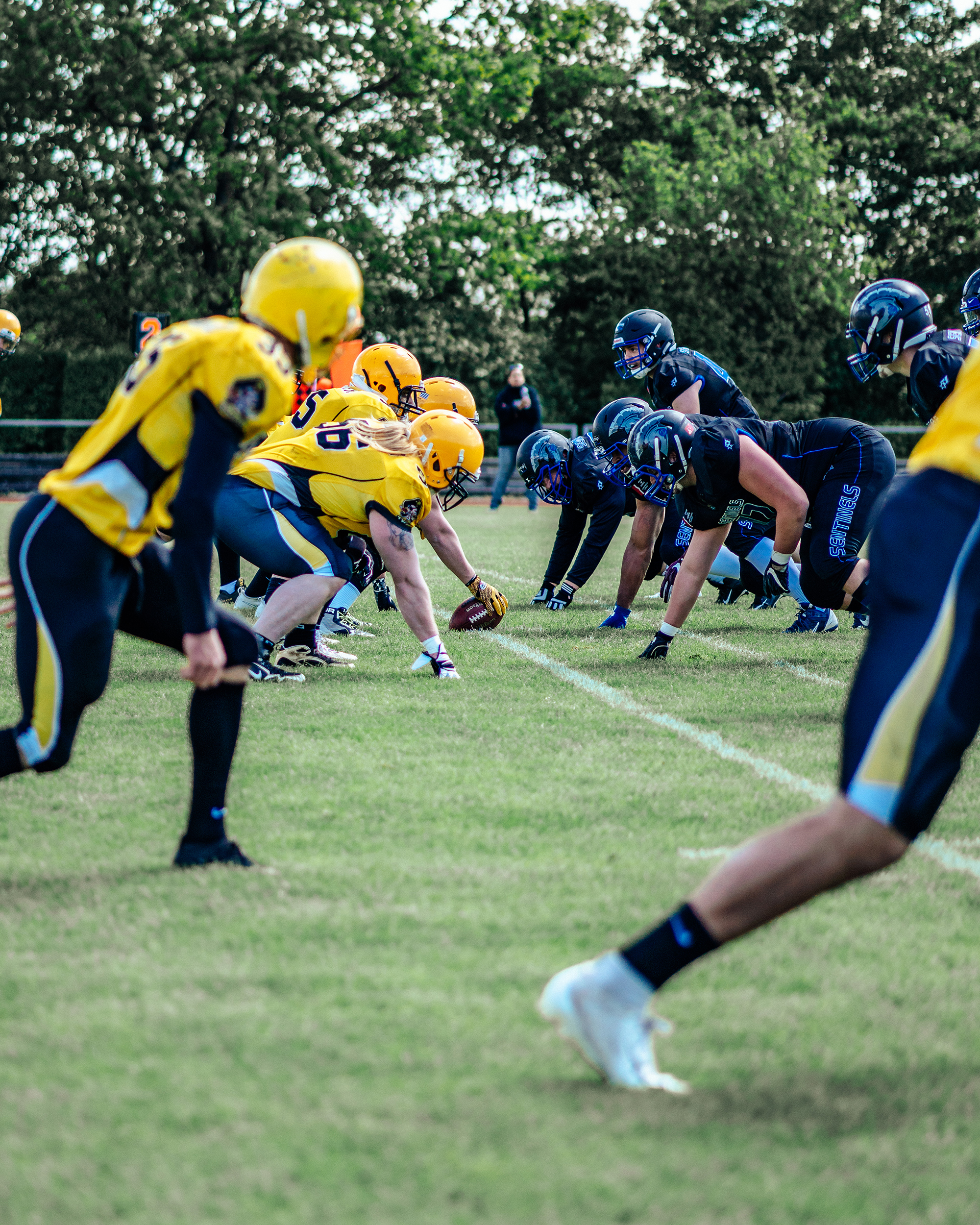 Bad Homburg Sentinels erwarten Frankfurt Pirates zum Rückspiel