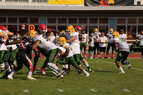 Cologne Crocodiles besiegen Potsdam Royals