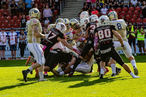 Dresden Monarchs verlieren in Braunschweig gegen die NewYorker Lions