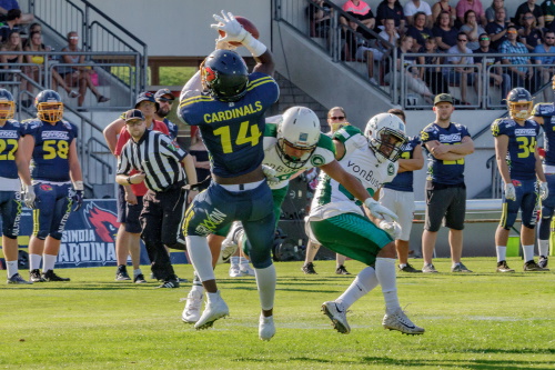Harlan Kwofie #14, Assindia Cardinals, fängt den Ball