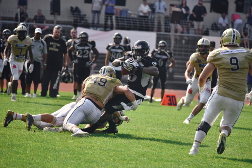 Dresden Monarchs verlieren in Berlin gegen Rebels