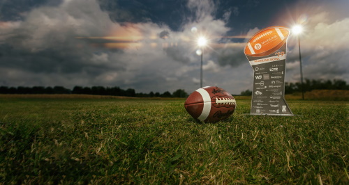 Mainlink Bowl