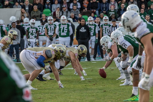 Die Linespieler der Dresden Monarchs und Schwäbisch Hall Unicorns stehen sich gegenüber
