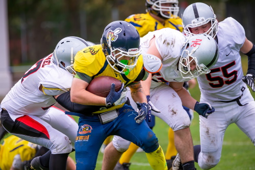 Hanau Hornets steigen ab