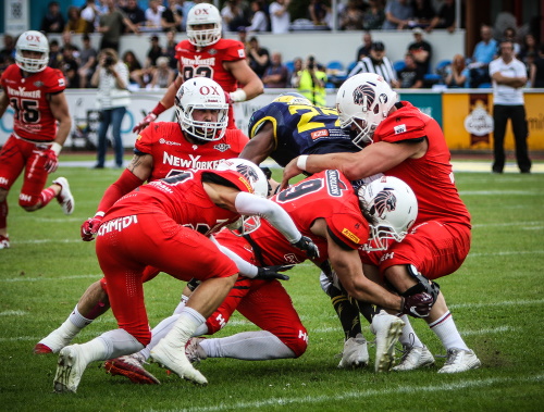 Bewährte Kräfte bei den Linebackern der New Yorker Lions Braunschweig