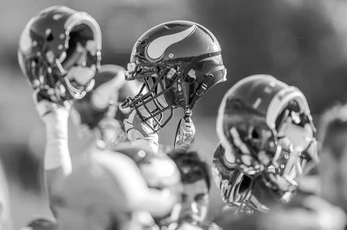 Dacia Vikings warten auf den Saisonstart