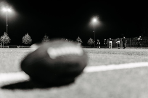 Bad Homburg Sentinel Ball