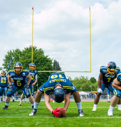 Assindia Cardinals möchten 2020 GFL2 spielen
