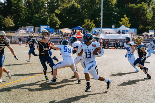 Bad Homburg Sentinels - Mainz Golden Eagles 2019