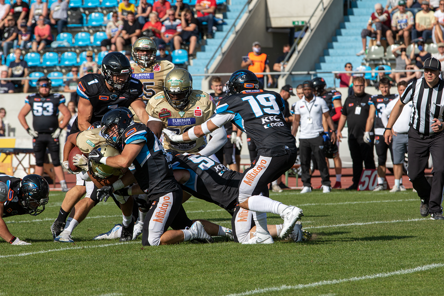 Dresden Monarchs verlieren vor 1.500 Zuschauern gegen Wroclaw Panther