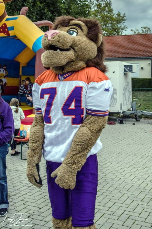 Rusty the old Lion