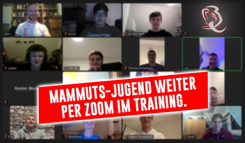 Münster Mammuts Zoom Konferenz