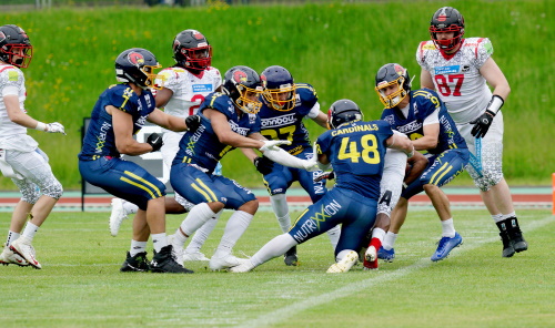Assindia Cardinals vs. Solingen Paladins