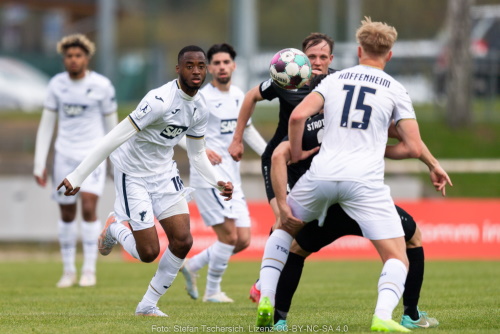Beispielfoto TSG Hoffenheim