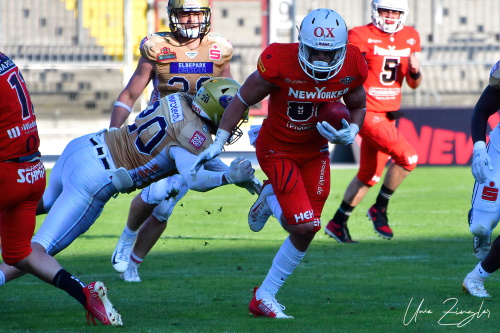 #88 Paul Bogdan, New Yorker Lions Braunschweig