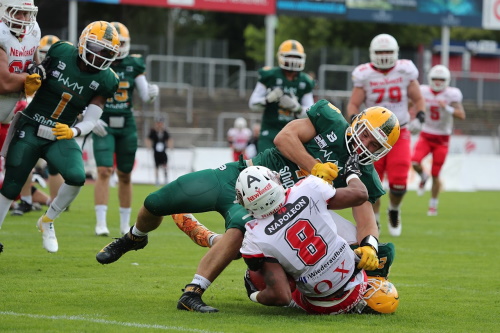 Cologne Crocodiles unterliegen New Yorker Lions Braunschweig