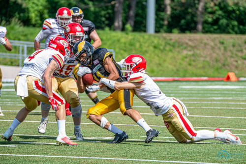 Lübeck Cougars vs. Berlin Adler