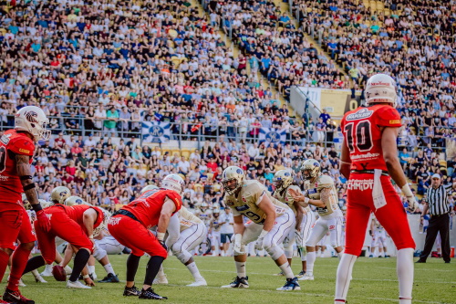 Dresden Monarchs empfangen die New Yorker Lions Braunschweig